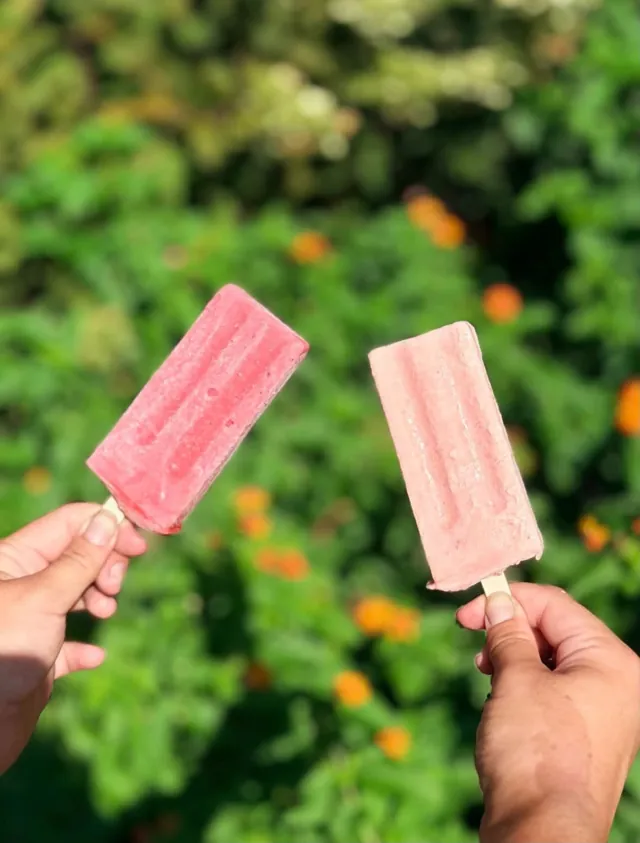 Two strawberry popsicles held up against green leaves